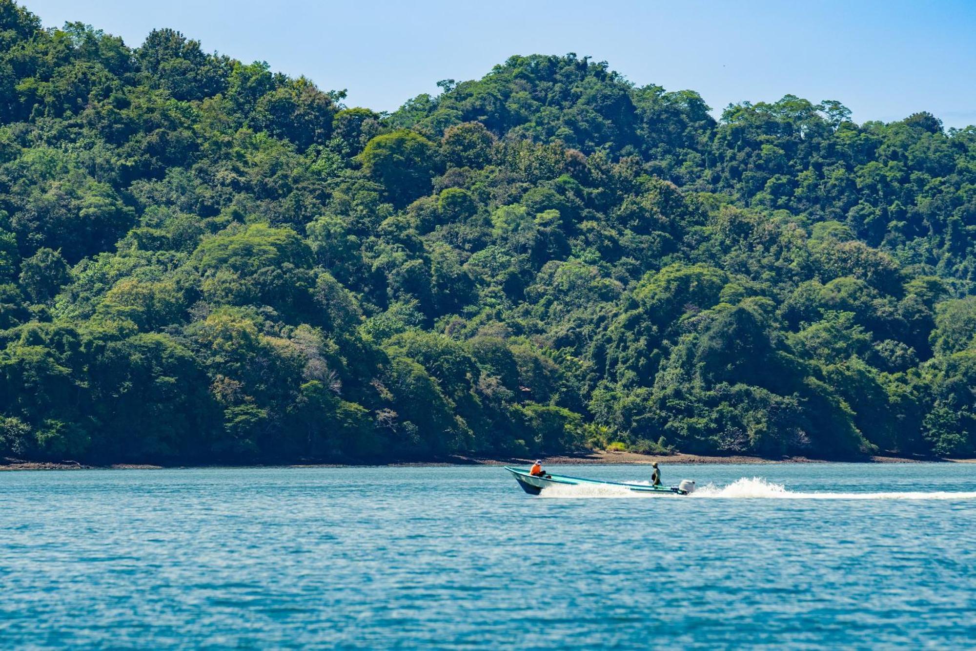 Isla Chiquita Glamping Hotel Paquera Ngoại thất bức ảnh